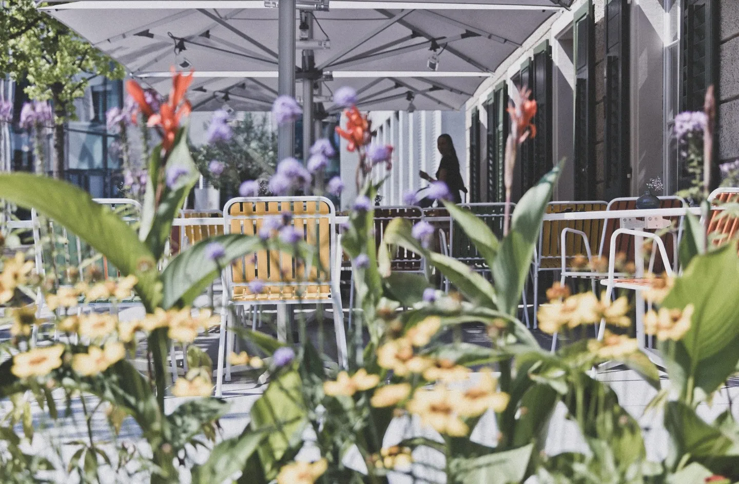Blick durch blühende Blumenkästen auf die Außenterrasse der Schaffarei. Im Hintergrund sieht man das schöne Ambiente.