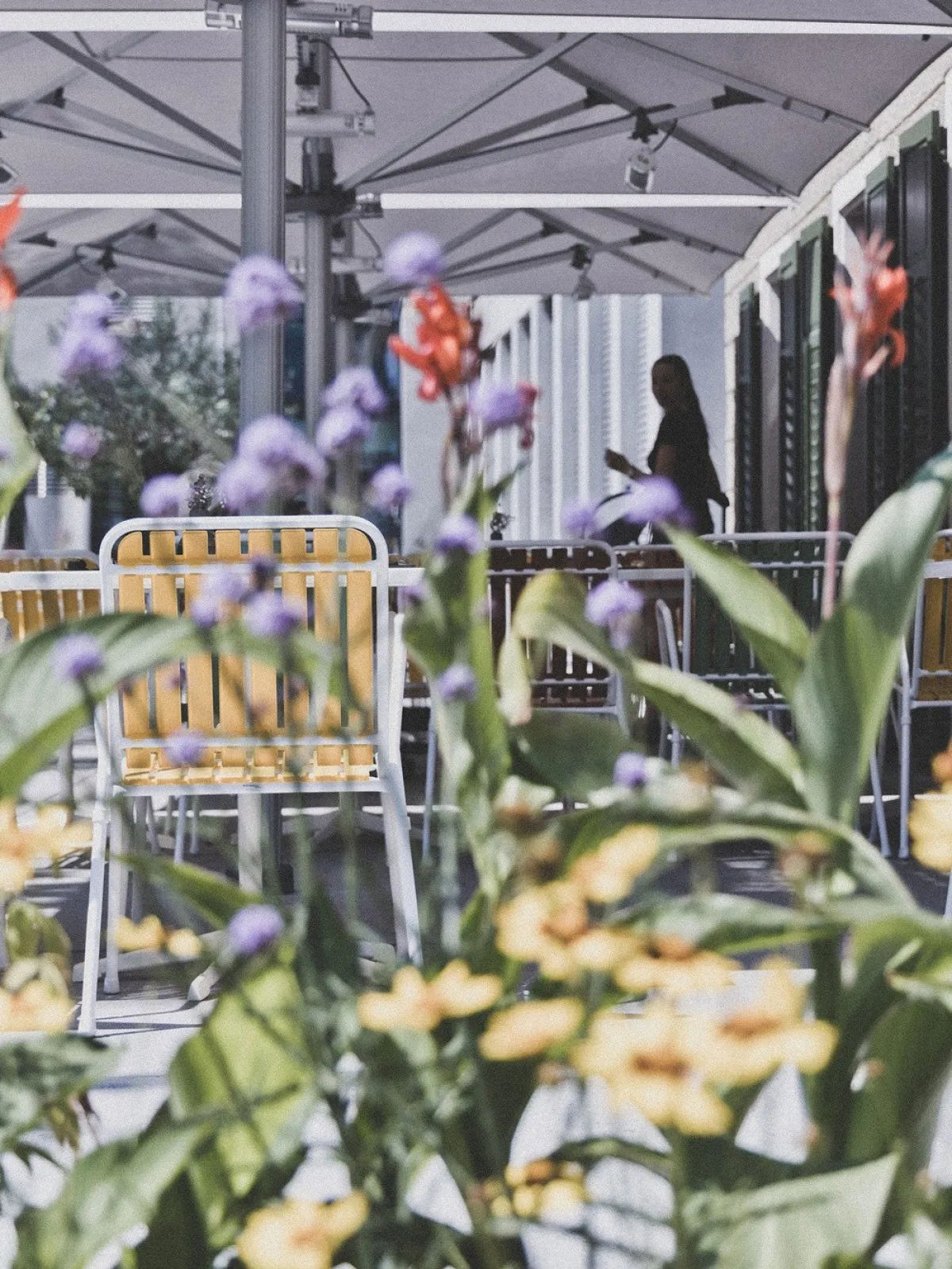 Blick durch blühende Blumenkästen auf die Außenterrasse der Schaffarei. Im Hintergrund sieht man das schöne Ambiente.