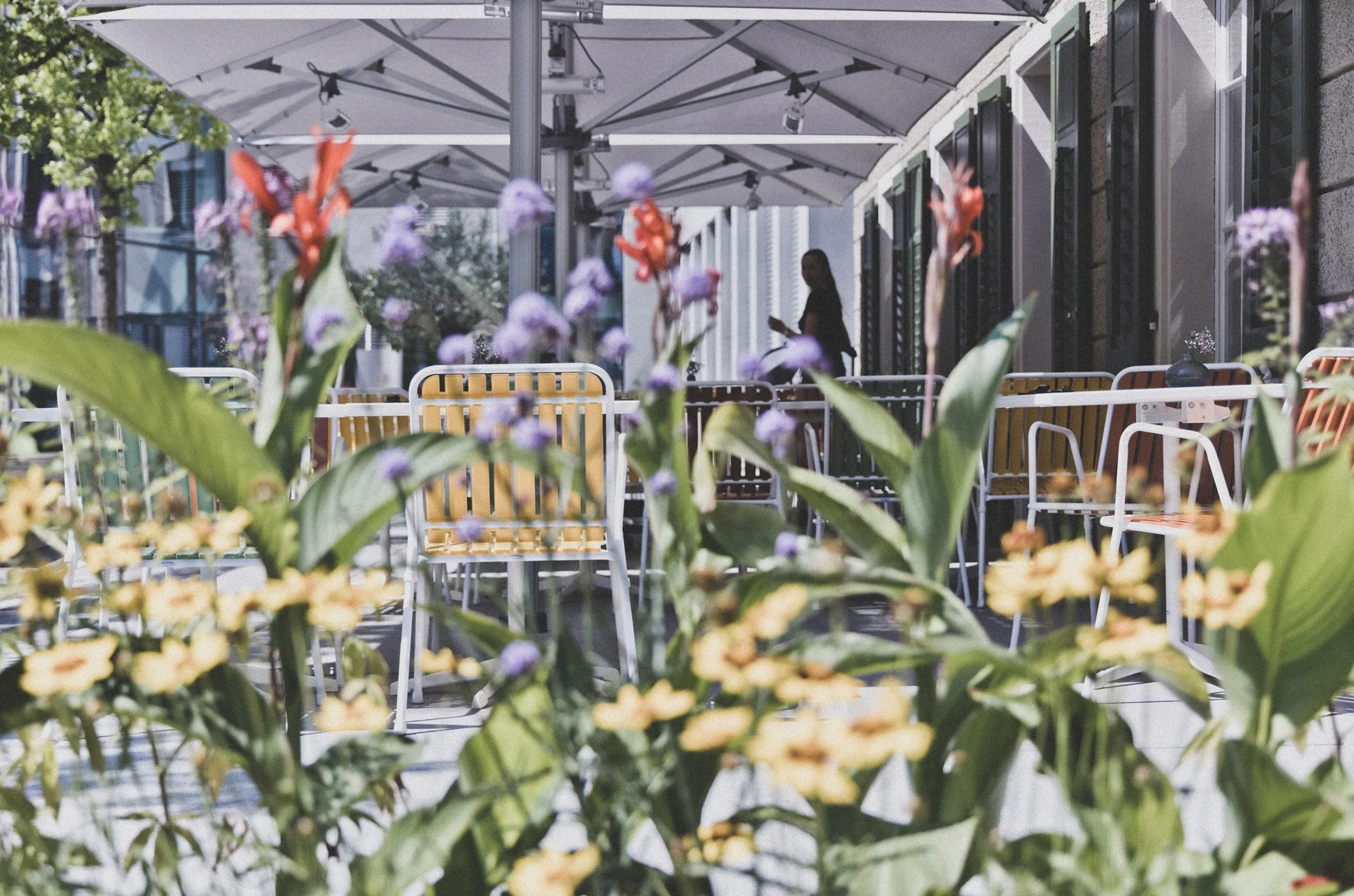 Blick durch blühende Blumenkästen auf die Außenterrasse der Schaffarei. Im Hintergrund sieht man das schöne Ambiente.